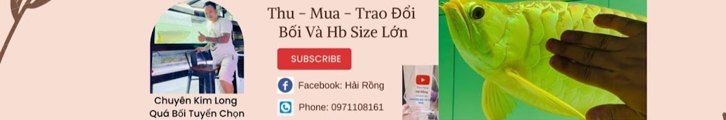 Hải Rồng