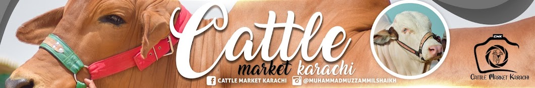 Cattle Market Karachi Banner