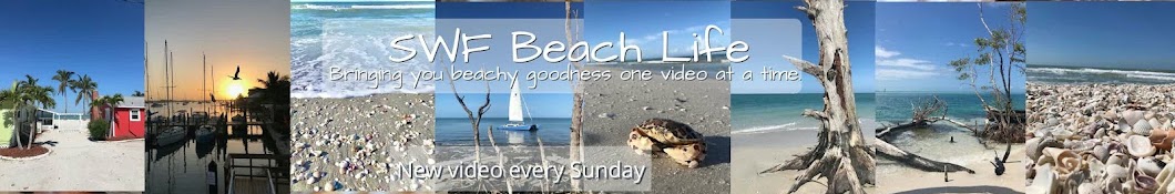 SWF Beach Life Banner