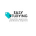 Easystudying