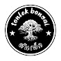 TONLEK BONSAI