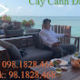 Cây Cảnh Đại Việt