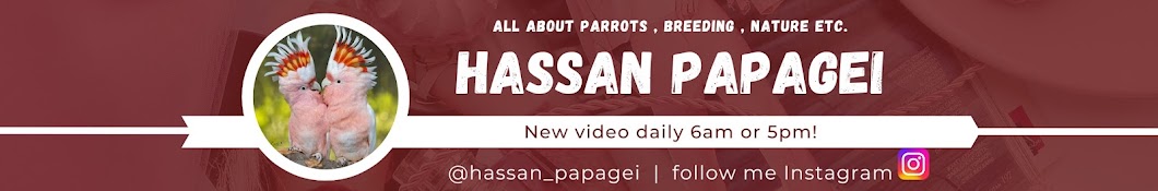 Hassan Bin Hussain • 900k  views • 2 days ago    ,