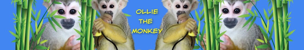 Ollie The Monkey Banner