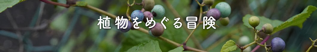 植物をめぐる冒険