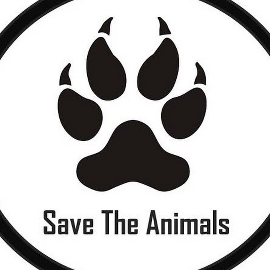 Animal funds. Save animals. Let's save animals.