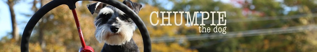 ChumpieTheDog Banner