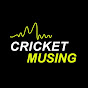 Cricket Musing