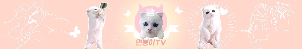 Myonbong Cat