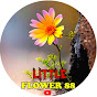 littleflower88