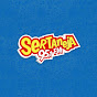 Sertaneja 95fm