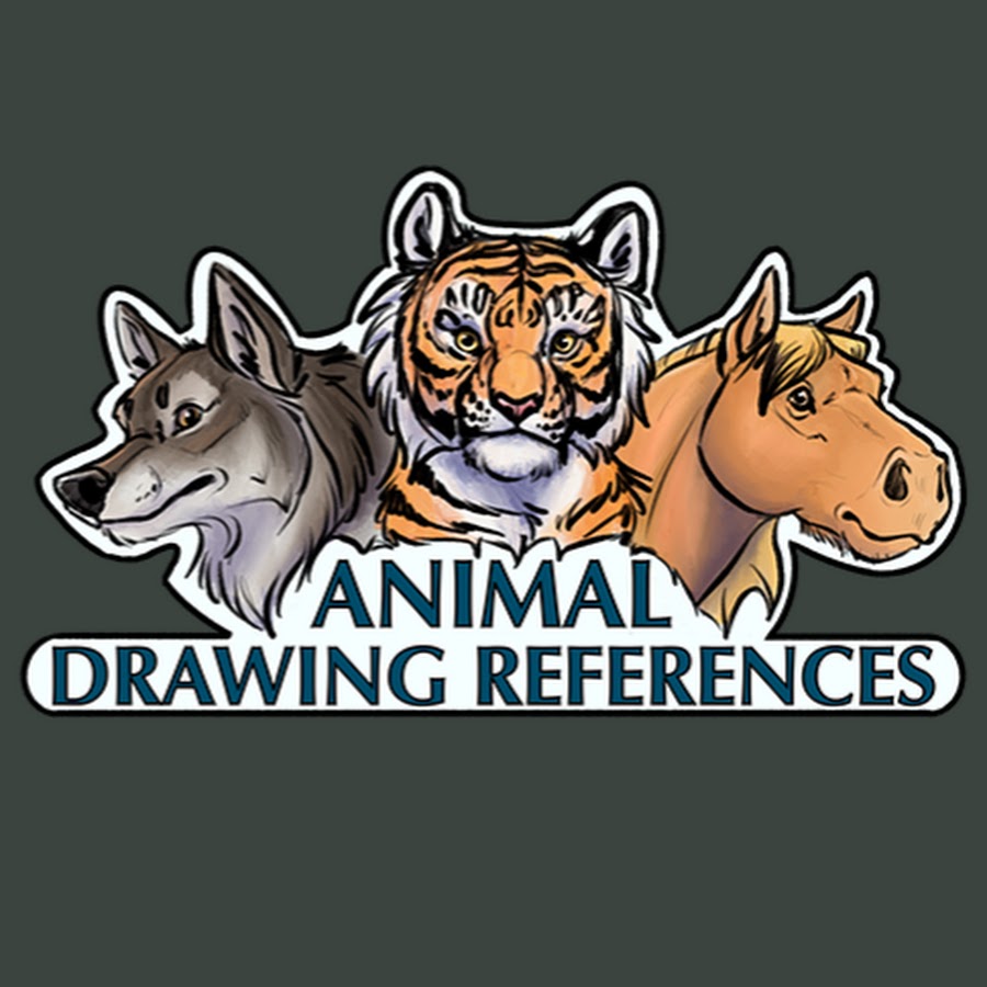 Animal Drawing References