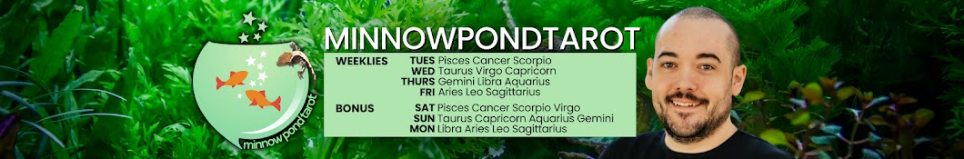 Minnow Pond Tarot Banner