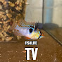 Fish Life TV