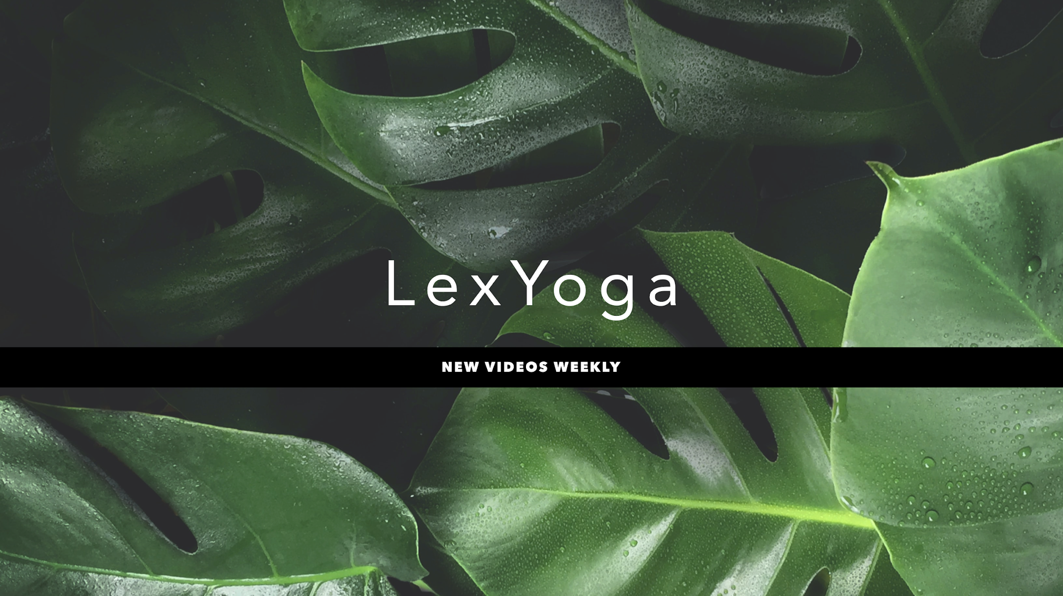 Lex Yoga