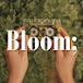 Bloom;