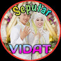 Seputar VIDAT