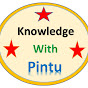 Knowledge with Pintu