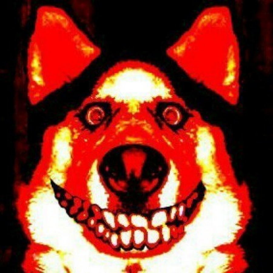 Smile dog картинки оригинал