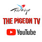 The Pigeon Tv