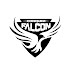 logo Conquer Falcon