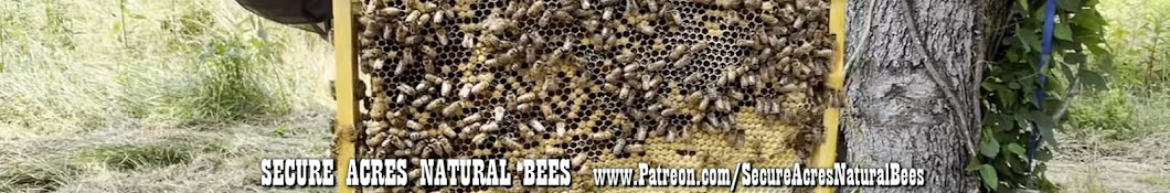 Secure Acres Natural Bees