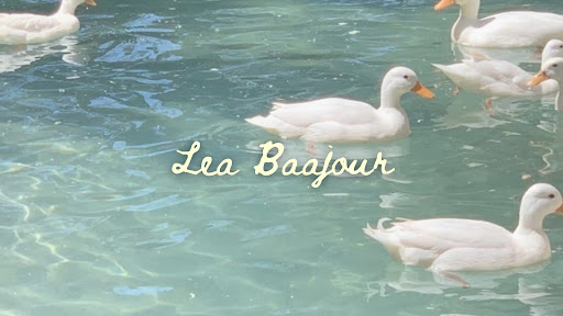 Lea Baajour banner