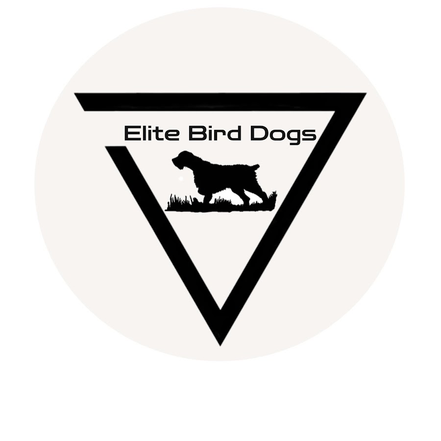 Элита собаки. Элит дог бренд лого. Картинки excsersise Bird Dog. Картинки esercizio Bird Dog.
