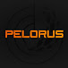 Pelorus | Ротатор для эхолота | Официальный канал