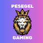 PESEGEL GAMİNG