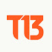 T13