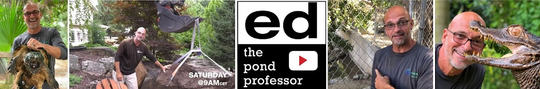 Ed The Pond Professor Banner