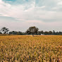 Corretor Casimiro - CORRETORES DO NORDESTE