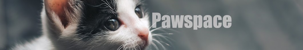 Pawspace