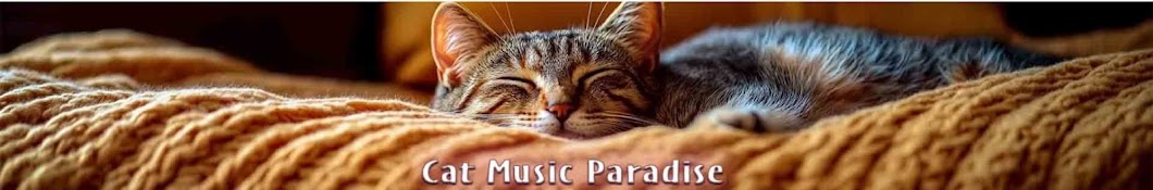 Cat Music Paradise