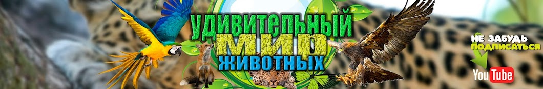 Удивительный мир животных