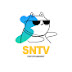 SNTV - Funny Video