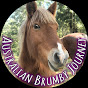 Australian Brumby Journey