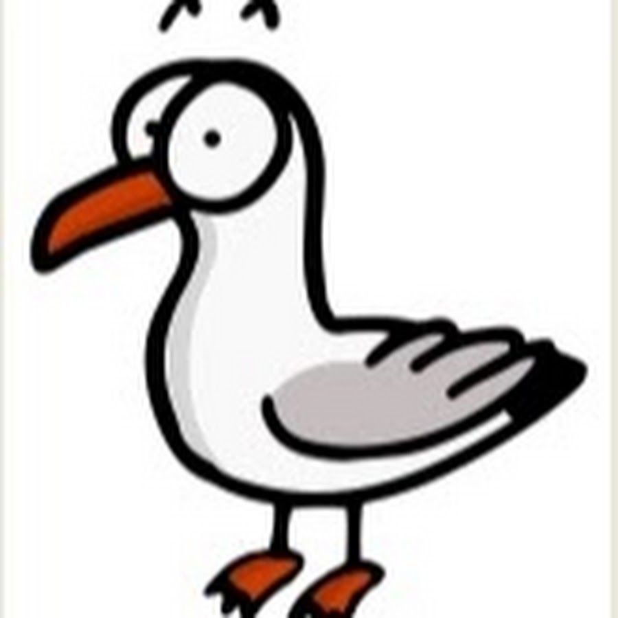 La Gaviota Viajera (The Traveling Seagull) @lagaviotaviajera