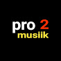 pro 2 musiik