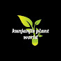 Kunjanjis plants world