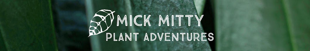 Mick Mitty