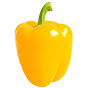 yellow bell pepper