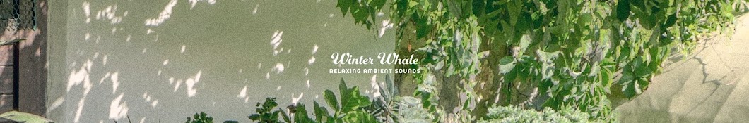 Winter Whale Banner
