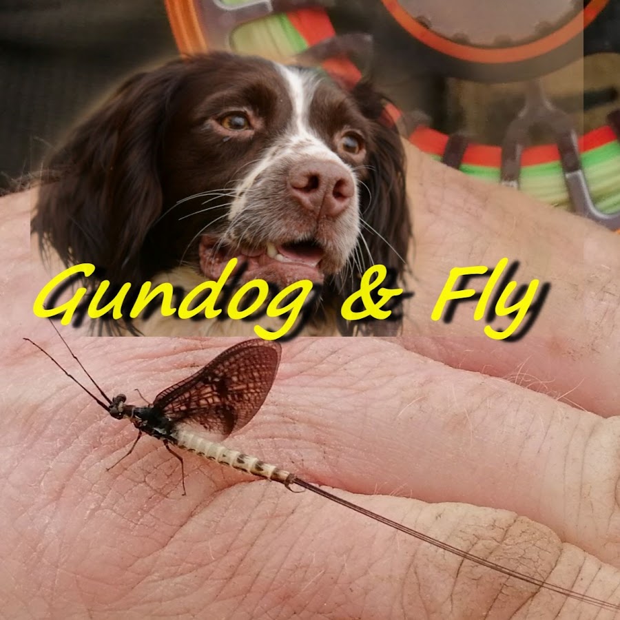 Gundog & Fly