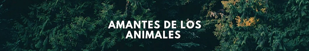 HISTORIAS DE ANIMALES