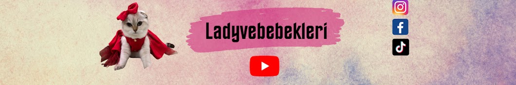 Ladyvebebekleri