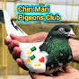 Chiri Mari Pigeons Club 