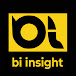 BI Insight