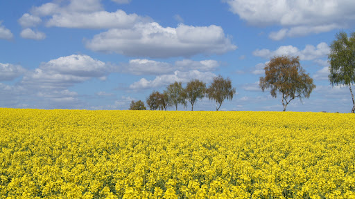 AgrarBlick banner